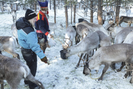 The Complete Arctic Dream