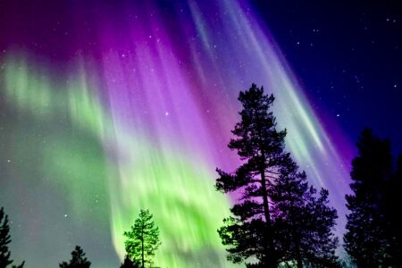 What a Family Winter Adventure in Finland looks like: Zoe’s Lapland Experience