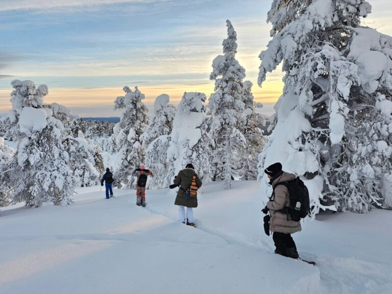 Nature Tour on Forest Skis with Outdoor Lunch